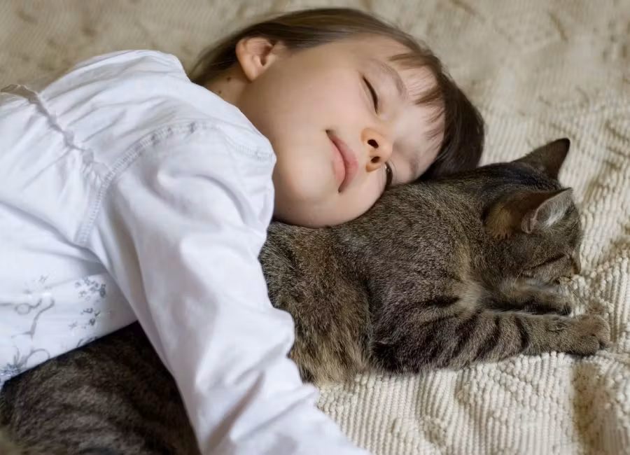 Une petite fille dormant paisiblement en câlinant un chat tigré allongé sur un plaid beige, illustrant une tendre connexion entre l’enfant et son animal de compagnie.